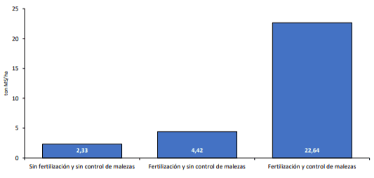 Manual del cultivo de maíz para ensilaje - Cultivo de maíz: Cuarto Capítulo - Image 16