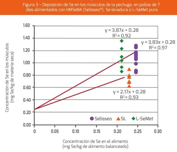 El estrés oxidativo y el metabolismo antioxidante - Image 3