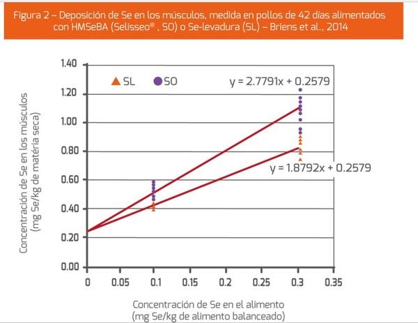 El estrés oxidativo y el metabolismo antioxidante - Image 2