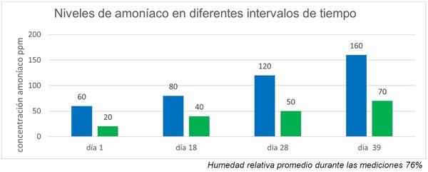 Resultado de la aplicación de Bisulfato de sodio (AFG®) para reducir los niveles de amoníaco (NH3) en cama de un galpón de ambiente controlado de pollo de engorde - Image 5