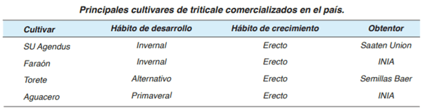 FORRAJERAS - Forrajes suplementarios - Image 18