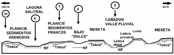 Procesos en la interfase suelo-atmósfera que inciden en la eficiencia de uso del agua - Image 2