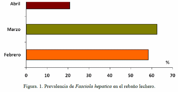 Prevalencia de Fasciola hepatica en vacas en pastoreo y sus efectos en la condición corporal y la producción de leche - Image 1