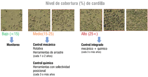 Figura 4 - Recomendación general de manejo de cardilla según nivel de cobertura.