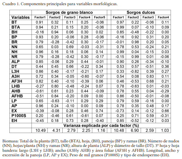Evaluación de los caracteres morfológicos relacionados con la producción de biomasa en Sorgo. - Image 1