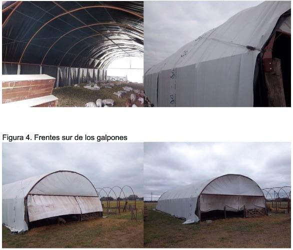 Sistema de Cama Profunda o Tunel de Viento - Image 2