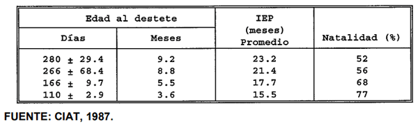 CUADRO 8. Desempeño reproductivo, en términos de intervalo entre partos (IEP) y porcentajes de natalidad, según la edad al destete del ternero. CI Carimagua. 