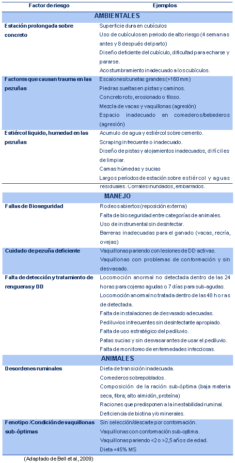 Afecciones Podales - Capítulo 6 “Control de recría y vaquillonas” - Image 2