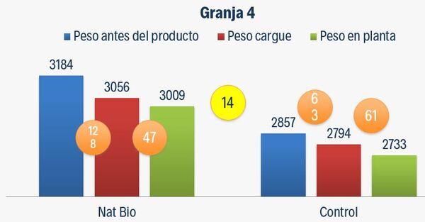 Caso de éxito en Pollo de Engorde Natbio Balance - Image 5