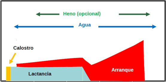 Del nacimiento al destete: Salud y argumentos económicos - Image 33