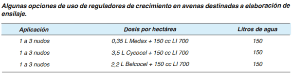 FORRAJERAS - Forrajes suplementarios - Image 6