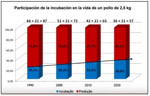 Puntos críticos a auditar en una planta de incubación para maximizar los nacimientos y la calidad de los pollitos - Image 1