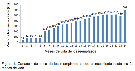 Desarrollo de reemplazos lecheros del nacimiento los 24 meses de vida - Image 1