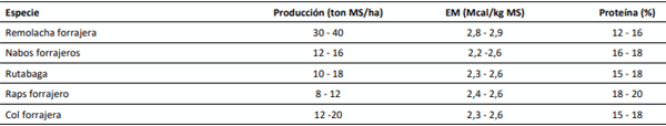 Producción y aporte nutricional de forrajes suplementarios suculentos.