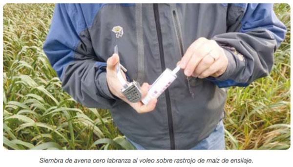 FORRAJERAS - Forrajes suplementarios - Image 7