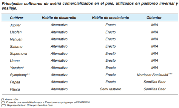 FORRAJERAS - Forrajes suplementarios - Image 4