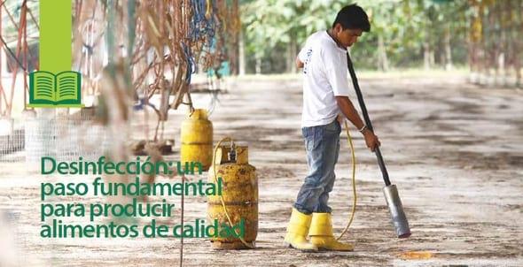 Desinfección: un paso fundamental para producir alimentos de calidad - Image 1