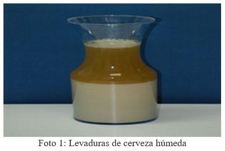 Probióticos y Prebióticos “Una alternativa biológica en busca de la máxima productividad” - Image 6