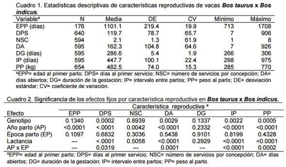 Comportamiento reproductivo de vacas cruzadas simmental-cebú y suizo pardo-cebú en clima tropical - Image 1