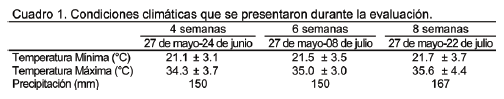 Rendimiento y valor nutritivo de forraje en híbridos de Urochloa (CAYMAN Y COBRA) y pasto buffel - Image 1