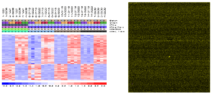 Identificación de biomarcadores de resistencia natural a Mycobacterium bovis en el ganado bovino - Image 22