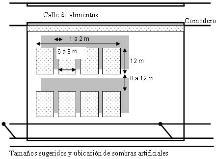 Diseño de corrales - Image 6