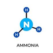 Resultado de la aplicación de Bisulfato de sodio (AFG®) para reducir los niveles de amoníaco (NH3) en cama de un galpón de ambiente controlado de pollo de engorde - Image 1