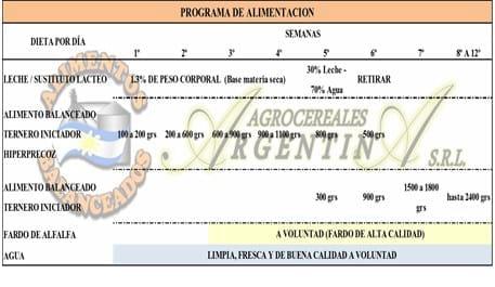 De la gauchera al primer parto - Image 2