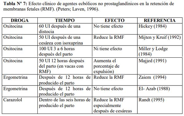 Obstetricia y neonatología bovina: XIII. Puerperio Patológico - Image 3