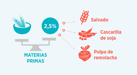 máximo de seguridad