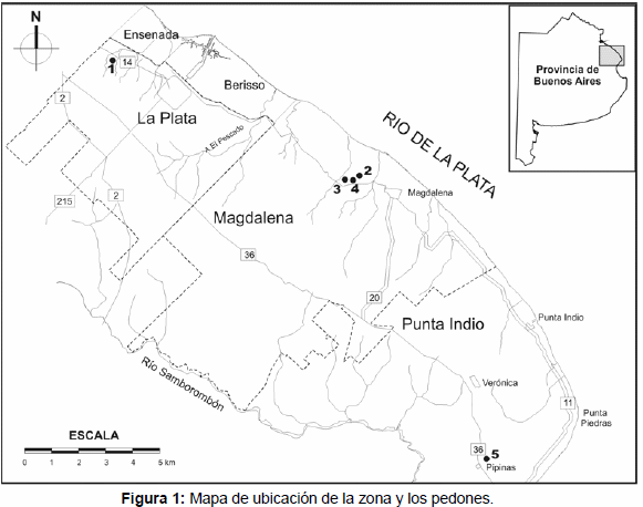 Suelos calcáreos vinculados a depósitos de conchilla pleistocenos. Provincia de Buenos Aires - Image 1