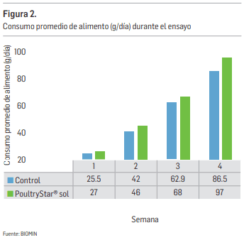 Reducción del impacto del estrés calórico mediante el uso de simbióticos - Image 2