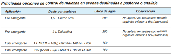 FORRAJERAS - Forrajes suplementarios - Image 5
