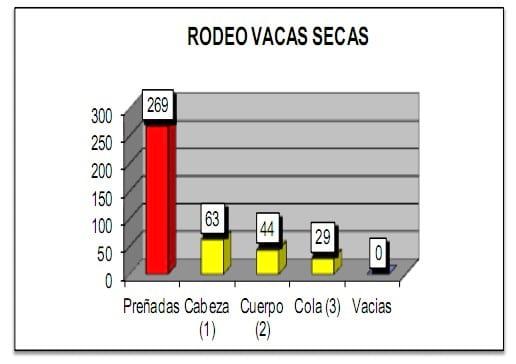 Programa de Mineralización Inyectable en vacas Paridas - Image 2