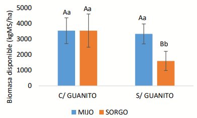Figura 1. Producción de biomasa durante el primer rebrote de dos verdeos de verano (mijo y sorgo) en un sistema agroecológico con (C/GUANITO) y sin aplicación de fertilizante orgánico (S/GUANITO). Letras mayúsculas indican diferencias significativas entre tratamientos de fertilización dentro de cada especie. Letras minúsculas muestran diferencias significativas entre especies dentro de cada tratamiento de fertilización (p < 0,05). 