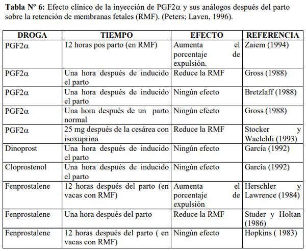 Obstetricia y neonatología bovina: XIII. Puerperio Patológico - Image 2