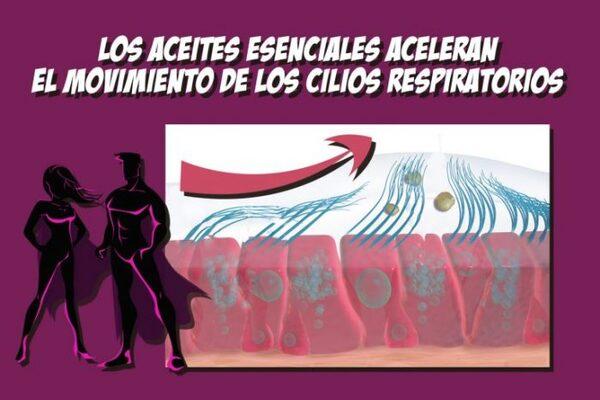 Cilios: los defensores de la salud respiratoria - Image 2