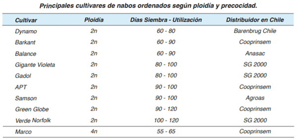 FORRAJERAS - Forrajes suplementarios - Image 47