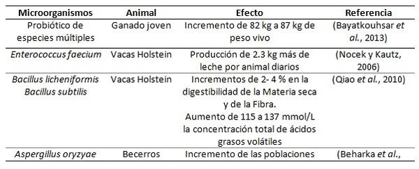 Aditivos microbianos como alternativa para mejorar la productividad del ganado - Image 1
