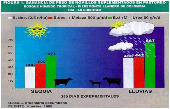 BOTERO - CÓMO ELIMINAR RIESGOS DE INTOXICACIÓN EN RUMIANTES SUPLEMENTADOS CON UREA LÍQUIDA - Image 1