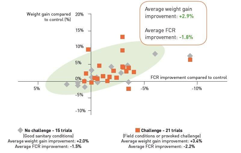Efecto de fitoestimulantes con fosfitos y mezcla de fungicidas sobre aspectos morfológicos del trigo (Triticum aestivum), mancha amarilla (Pyrenophora tritici-repentis) y componentes de rendimiento del cultivo - Image 5