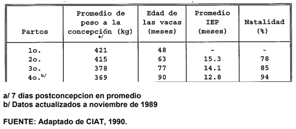 CUADRO 7. Peso a la concepción, edad al parto, e intervalos entre partos (IEP) de vacas en pastoreo de B. decumbens y leguminosas, Llanos Orientales de Colombia. 