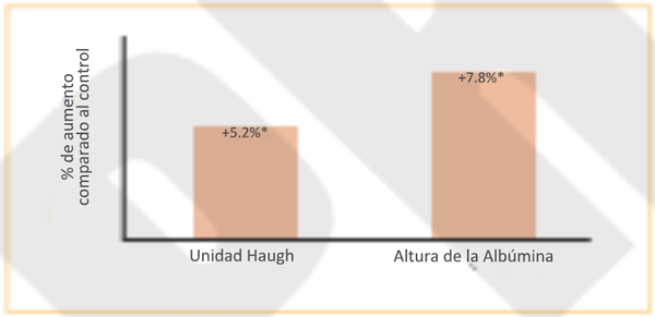 Fig. 1. Parámetros de calidad del huevo en gallinas ponedoras en semana 65 en respuesta a un activador de agilidad intestinal (% de aumento comparado al control, *P&lt;0.05, Mountzouris et al. Universidad Agrícola de Atenas, datos no publicados)