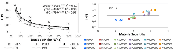 Figura 1. Eficiencia de uso de N (EUN, 1a, media de 3 años) e índice de nutrición nitrogenada medio (INN, 1b, media de fechas y 2 años) en rebrotes inverno primaverales fertilizados con 6 niveles de N (N0, N50, N100, N200, N400 y N600 kgN/ha) y 3 niveles de P (P0, P50, P100 kgP/ha). Para EUN, letras distintas indican diferencias significativas (P< 0,05) entre dosis de P en minúscula.