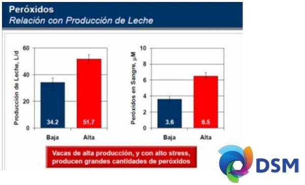 Cómo proteger la productividad ante el estrés calórico en vacas lecheras - Image 2