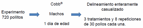 Efecto del uso de probiotico sobre el desempeño, morfometria y proliferacion celular en pollos de engorde - Image 1