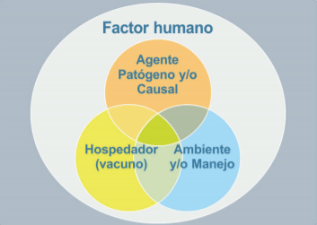 Factores que afectan la salud y el bienestar animal.