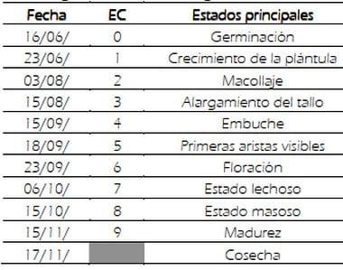 Efecto de fitoestimulantes con fosfitos y mezcla de fungicidas sobre aspectos morfológicos del trigo (Triticum aestivum), mancha amarilla (Pyrenophora tritici-repentis) y componentes de rendimiento del cultivo - Image 3