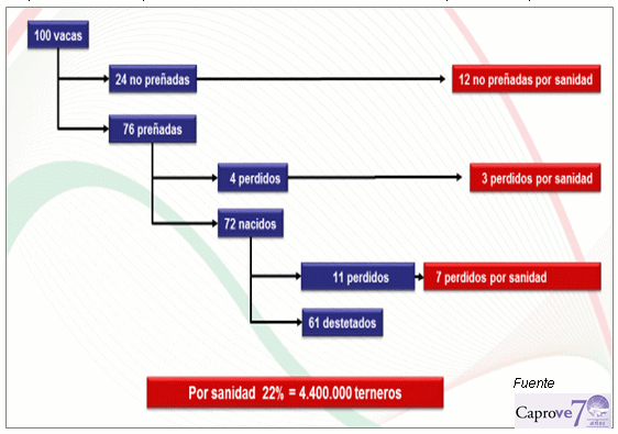 Aumentar el stock o producir con mayor eficiencia? - Image 2