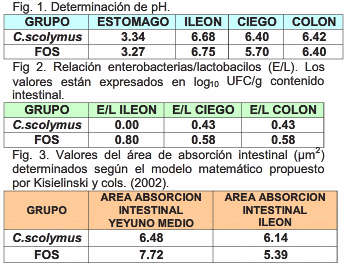 Efectos benéficos a nivel intestinal producidos por fosfomicina y extracto de cynara scolymus en lechones post destete - Image 1